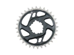 SRAM Chainring Direct Mount Singlespeed 32T